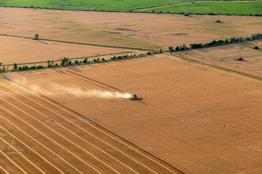 Luftbild: Rapsernte im Ortsteil Mühlberg in Drei Gleichen im Bundesland Thüringen in Deutschland. Foto: IMG_116107.jpg vom 10.07.2019 durch Werner Riehm/FLY-FOTO.de