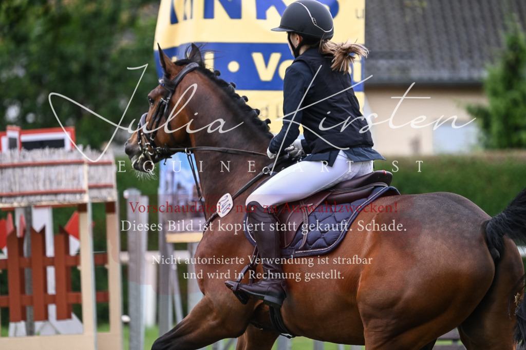 DSC_8474 | Pferde- und Turnierfotografie in Westsachsen. Pferdeportraits, Auftragszeichnungen und intuitive Kunst.