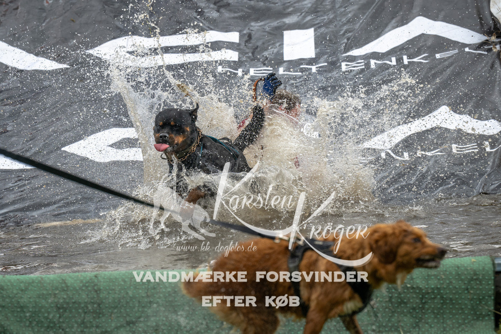 1350_ZZ93567 | kk-dogfotos