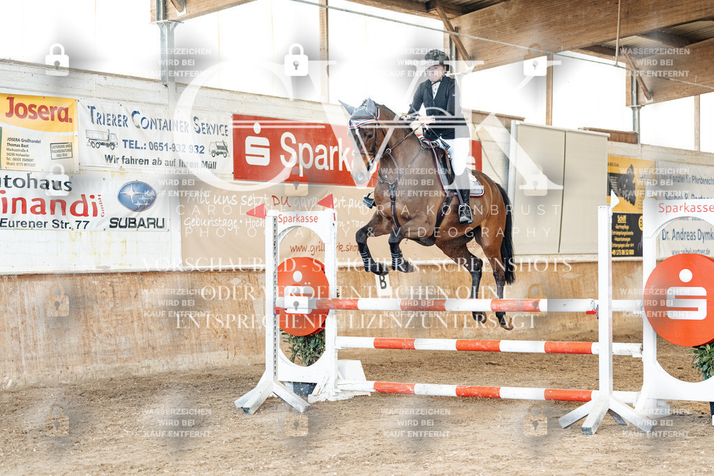 CK905248 | Turnierfotografie Pferdefotografie Trier Rheinland-Pfalz Pferdesport Reitsport Tierfotografie Sportfotografie Pferdevideo Pferdevideografie Equestrianvideography equestrianphotography  - Realized with Pictrs.com