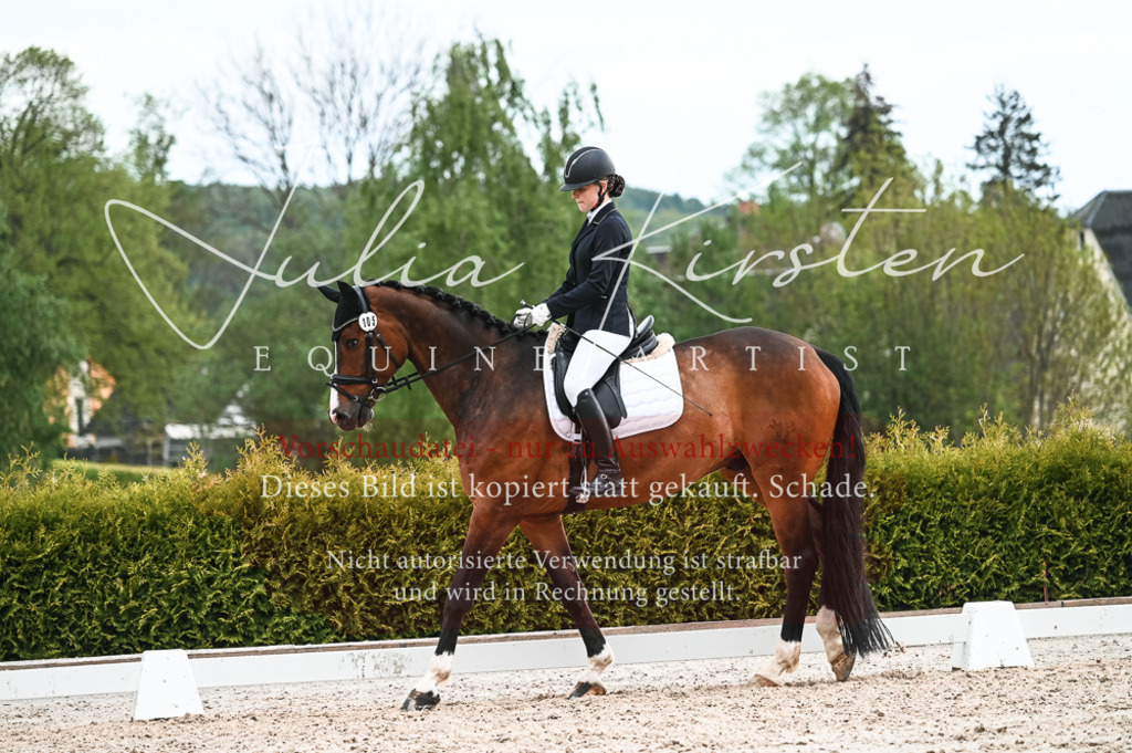 20230513_JK-Röhrsdorf-11-345 | Pferde- und Turnierfotografie in Westsachsen. Pferdeportraits, Auftragszeichnungen und intuitive Kunst.