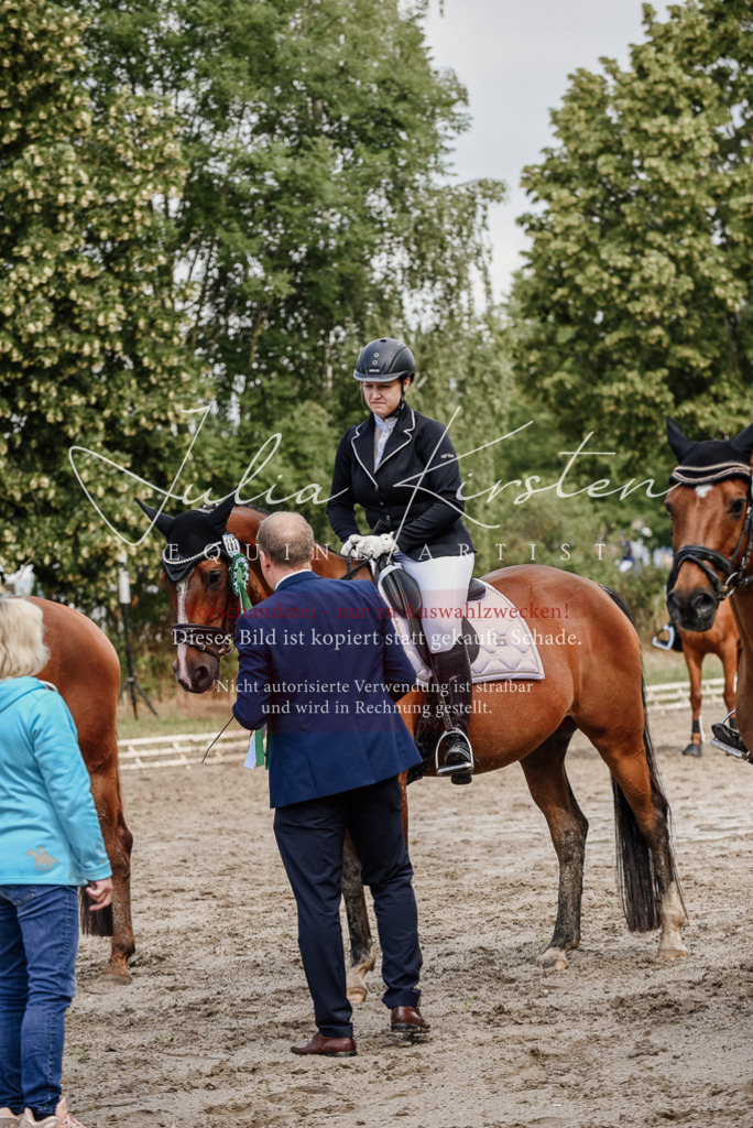 DSC_9365 | Pferde- und Turnierfotografie in Westsachsen. Pferdeportraits, Auftragszeichnungen und intuitive Kunst.