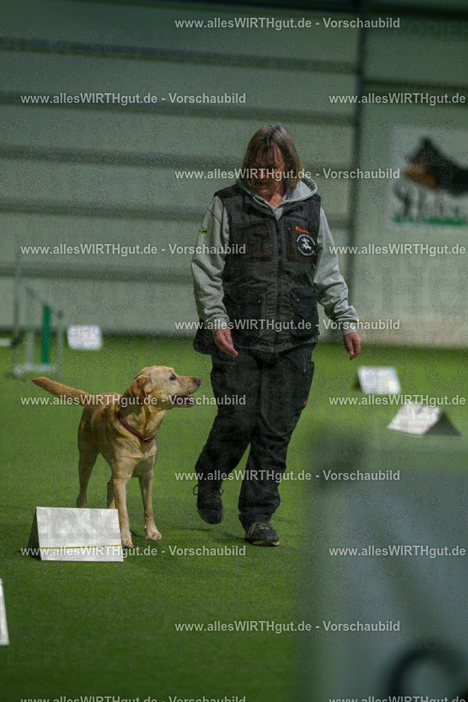 7R504668 | Professionelle Tierfotografie in Mönchengladbach von Daniel Wirth (allesWIRTHgut). Liebevolle & natürliche Bilder von Hunden & Katzen für unvergessliche Erinnerungen.