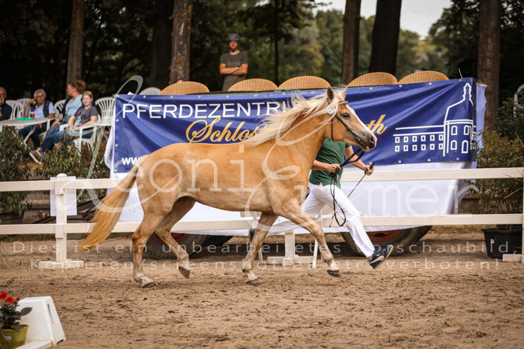 06.So00036 | Leoni Ertmer Photography - Realisiert mit Pictrs.com