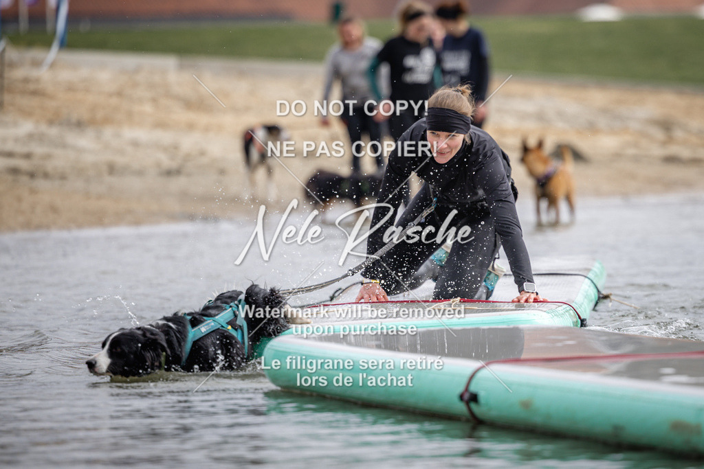nelerasche_Hulsbeek_Sa1230-1330_62 | nelerasche