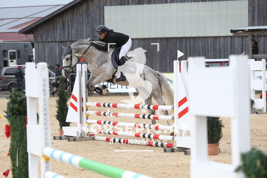 DL2Q1115 | Willkommen bei Brunnmayr - Design & Fotografie – Ihrem Spezialisten für Reitturniere und Pferdeveranstaltungen in Oberösterreich, Salzburg und Bayern! Seit über 17 Jahren sind wir leidenschaftlich dabei.