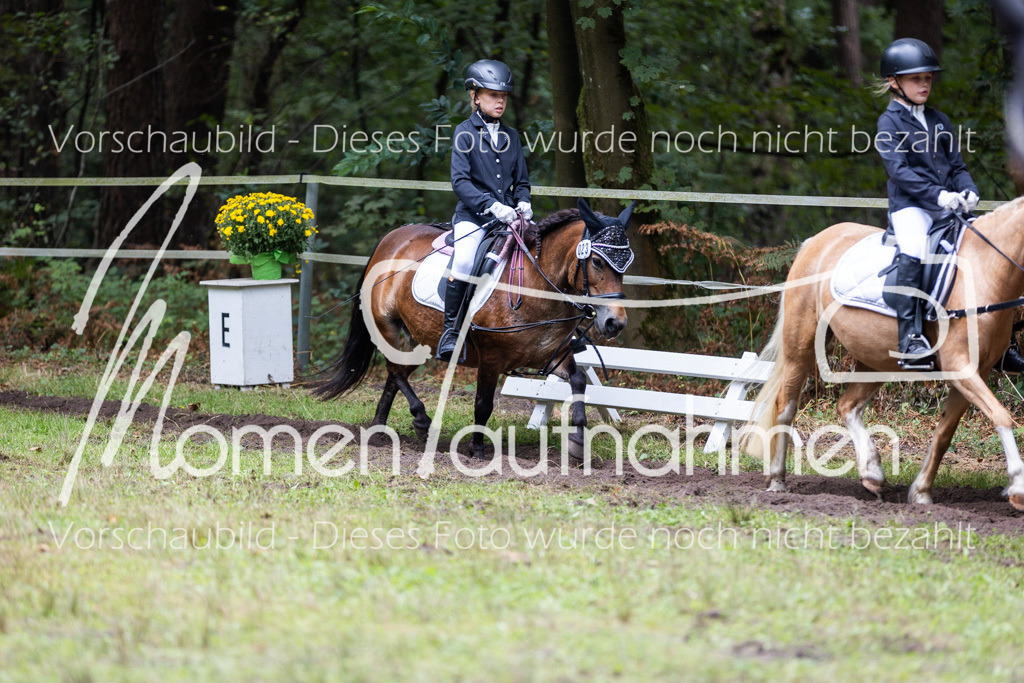 HB-Reiter-WB-052 | MomenTaufnahmen Pferdesportfotos