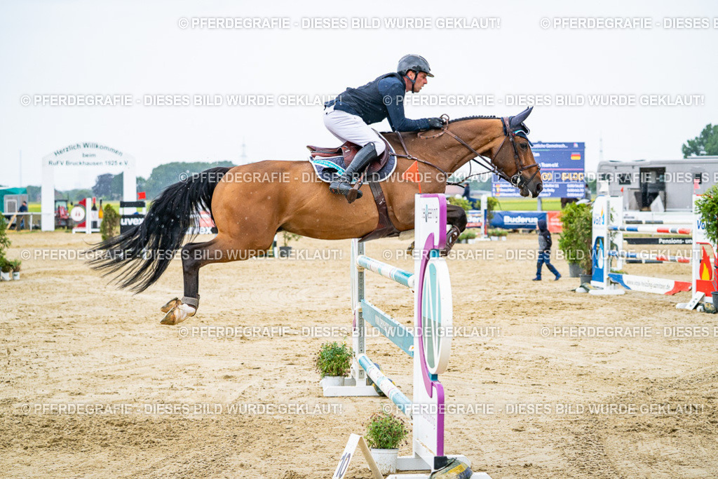 DSC08645 | Pferdegrafie