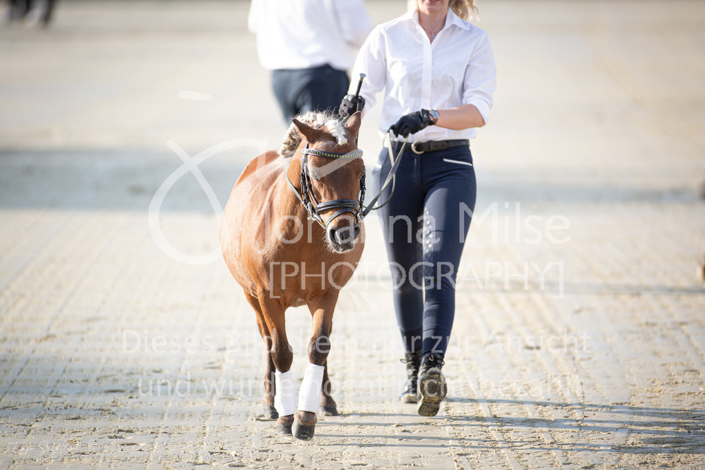 230728_BHO_Showprogramm_FS-703 | Deine schönsten Turniermomente als professionelle Fotos! Entdecke hochwertige Pferdesport-Fotografie im Online-Shop. Jetzt Fotos finden & bestellen!