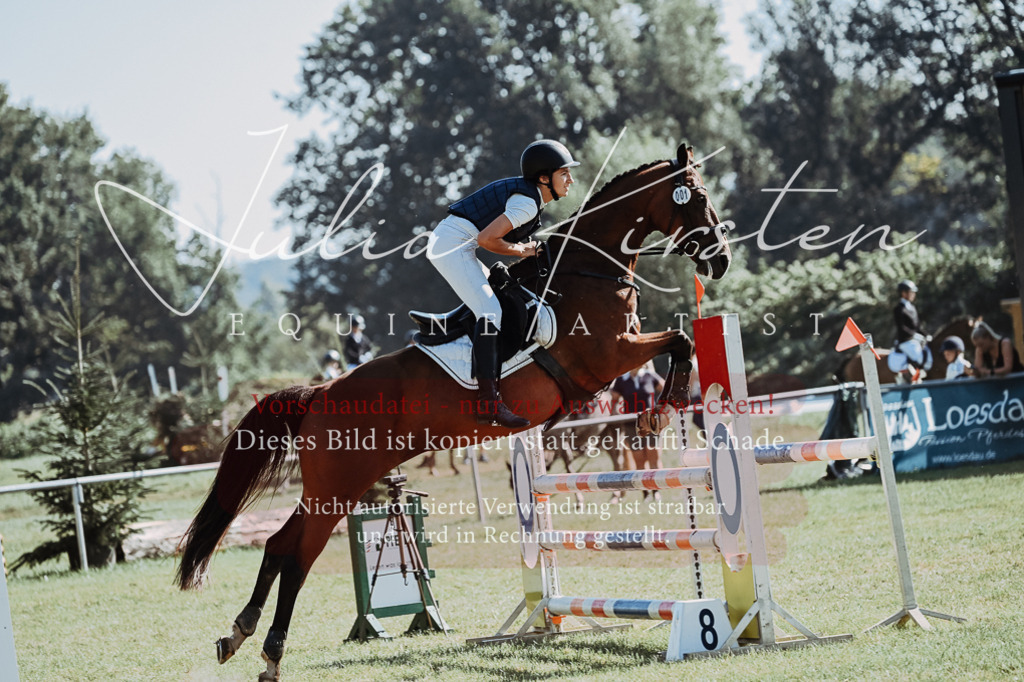 DSC_5440 | Pferde- und Turnierfotografie in Westsachsen. Pferdeportraits, Auftragszeichnungen und intuitive Kunst.