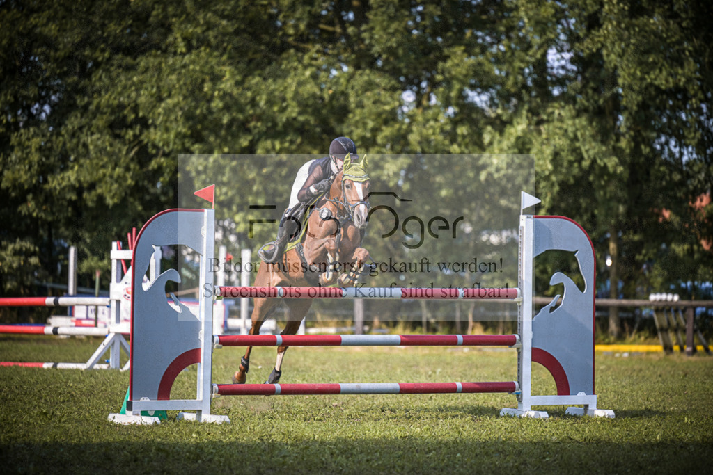 DOS_1540 | Entdecke hochwertige Reitturnierfotos von Foto Oger. Professionell, emotional und authentisch – jetzt Lieblingsmomente im Shop bestellen. - Realisiert mit Pictrs.com