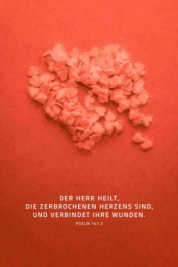 Der HERR heilt, die zerbrochenen Herzens sind, und verbindet ihre Wunden. Ps 147,3 (L) | Monatslosung / Monatsspruch August 2024