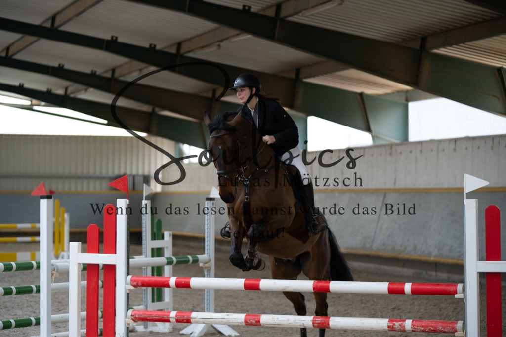 A7V03790 | Pferdefotograf