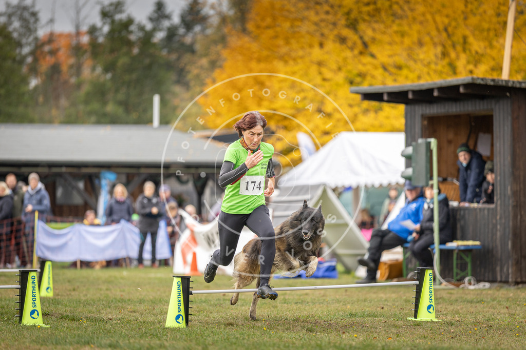 Pfotenfotografie_DV3A5497 | Hundefotografie, Tierfotograf, Pfotenfotografie, Fotoshooting Hund, Hunde Portrait, Hundesport, Hundeportraits, Heideshooting, Hunde, Sportfotograf, Hundefotograf, Turnierhundsport, THS,  - Realisiert mit Pictrs.com