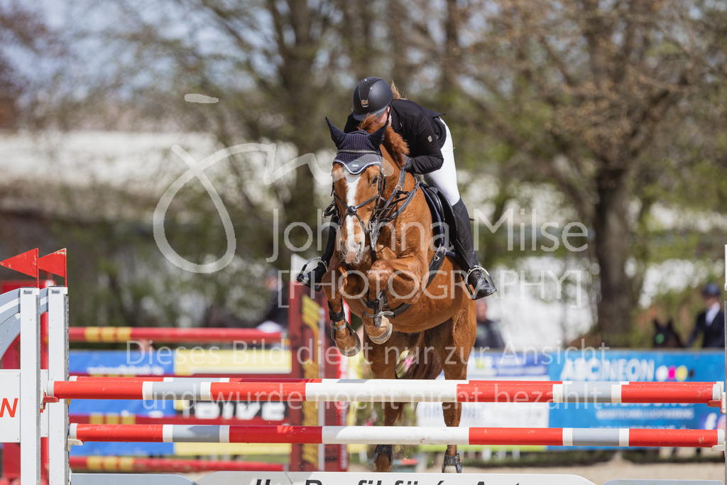 230501_SpengeW_M2St-179 | Deine schönsten Turniermomente als professionelle Fotos! Entdecke hochwertige Pferdesport-Fotografie im Online-Shop. Jetzt Fotos finden & bestellen!