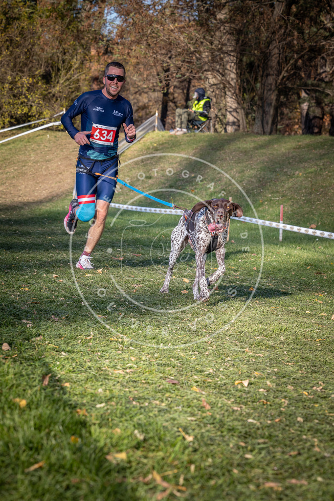 CaniXpix_0L8A8958 | Hundefotografie, Tierfotograf, Pfotenfotografie, Fotoshooting Hund, Hunde Portrait, Hundesport, Hundeportraits, Heideshooting, Hunde, Sportfotograf, Hundefotograf, Turnierhundsport, THS,  - Realisiert mit Pictrs.com
