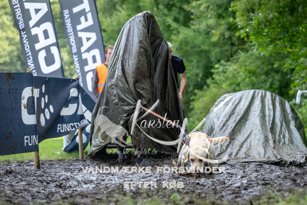 1138_ZZ93801 | kk-dogfotos