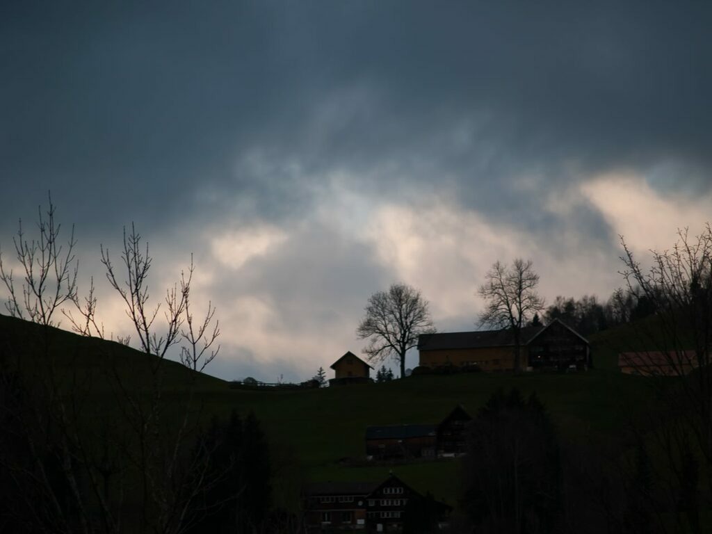 PSX_20221222_225051 | mtkfoto_ - Realisiert mit Pictrs.com