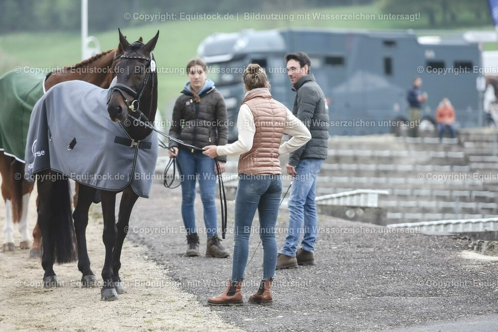 20230514_Impressionen_0193 | equistock