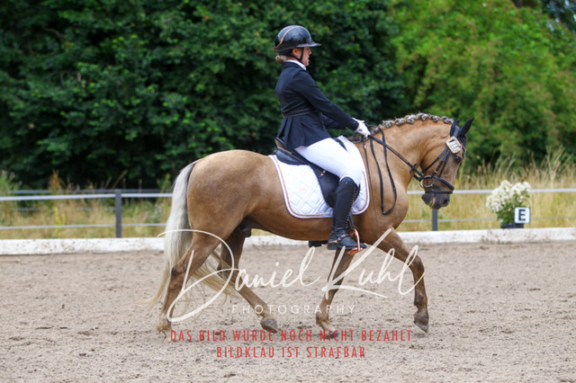 DKP47183 | Turniersportfotografie; Pferdefotografie; Dressurfotografie