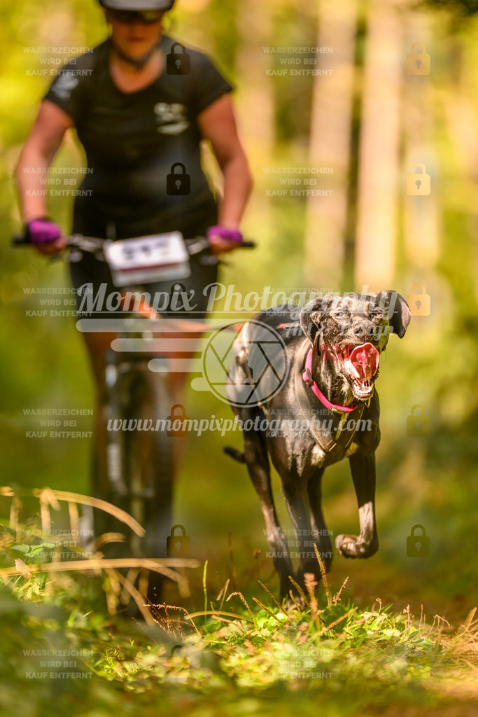 MompixPhotography_Yens2025_B2-98 | PayLife