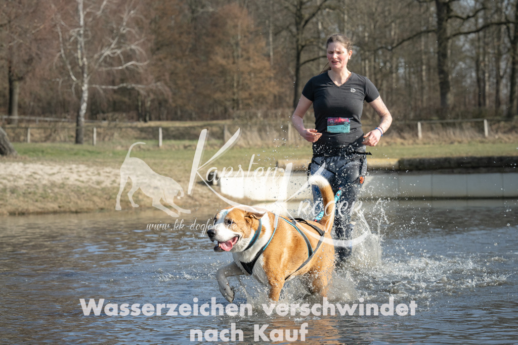 1355_ZZ98972 | kk-dogfotos