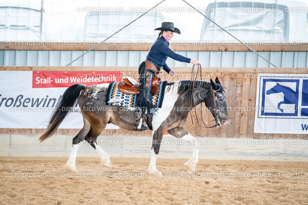 DSC02819 | Pferdegrafie