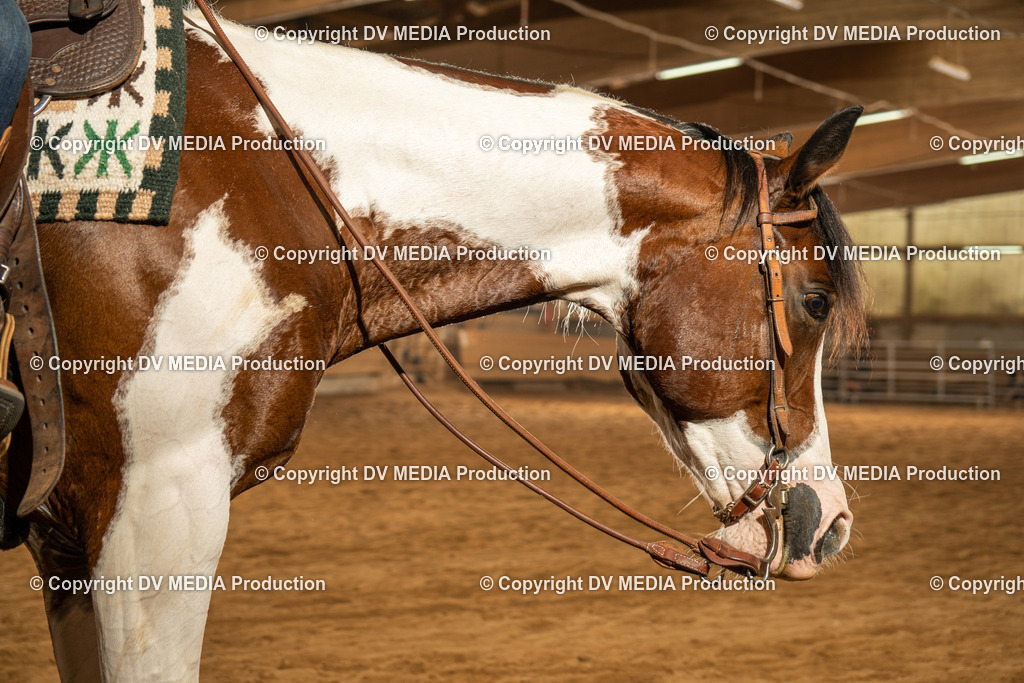 NID01717 | dv-media-shop - Realisiert mit Pictrs.com