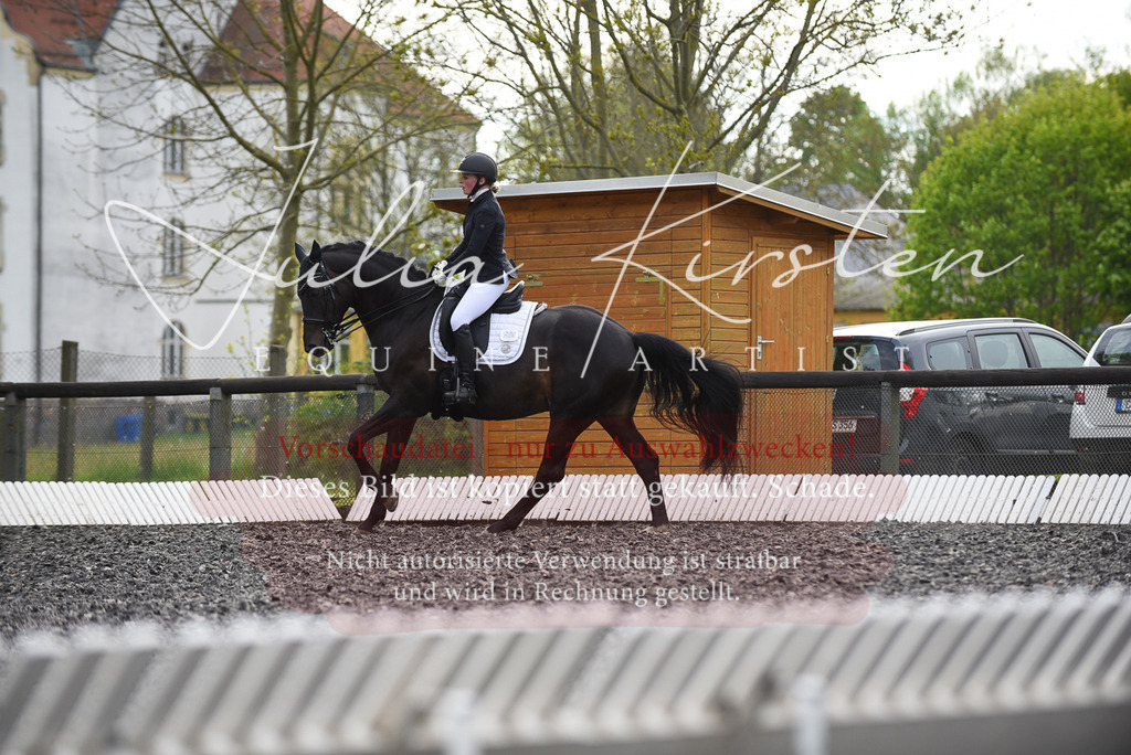 20230513_JK-Röhrsdorf-17-275 | Pferde- und Turnierfotografie in Westsachsen. Pferdeportraits, Auftragszeichnungen und intuitive Kunst.
