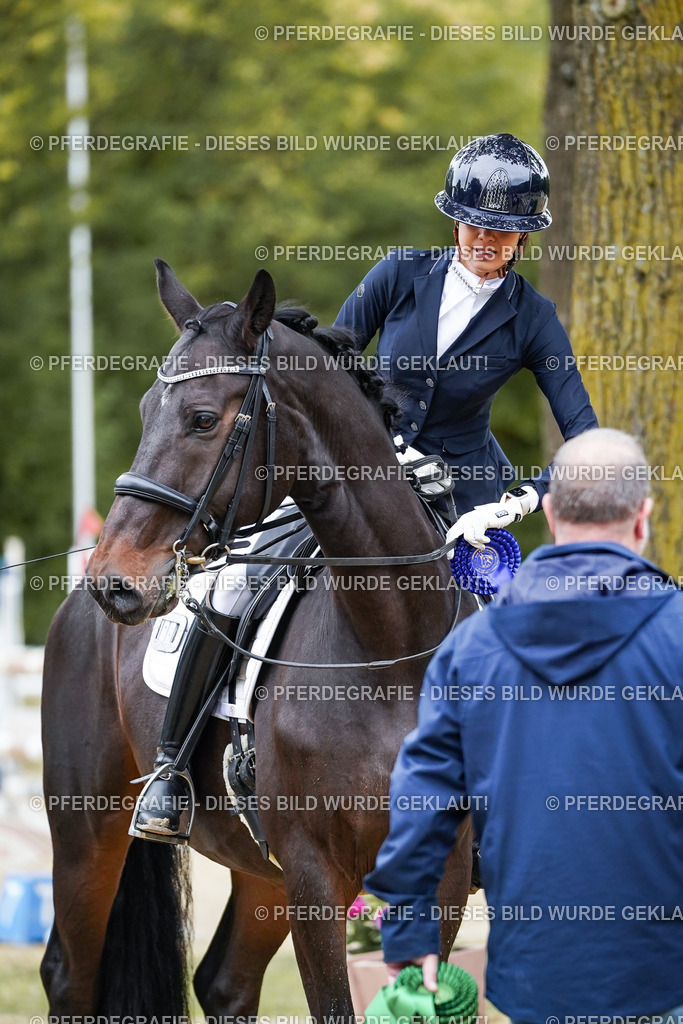 DSC02586 | Pferdegrafie