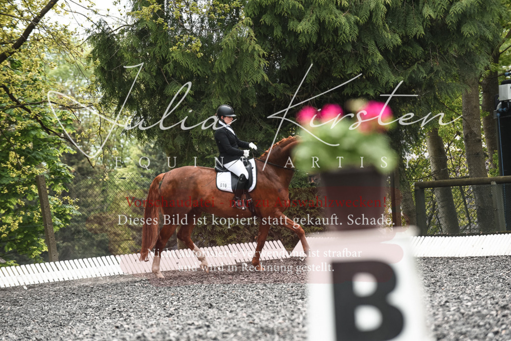 20230514_JK-Röhrsdorf-24-032 | Pferde- und Turnierfotografie in Westsachsen. Pferdeportraits, Auftragszeichnungen und intuitive Kunst.