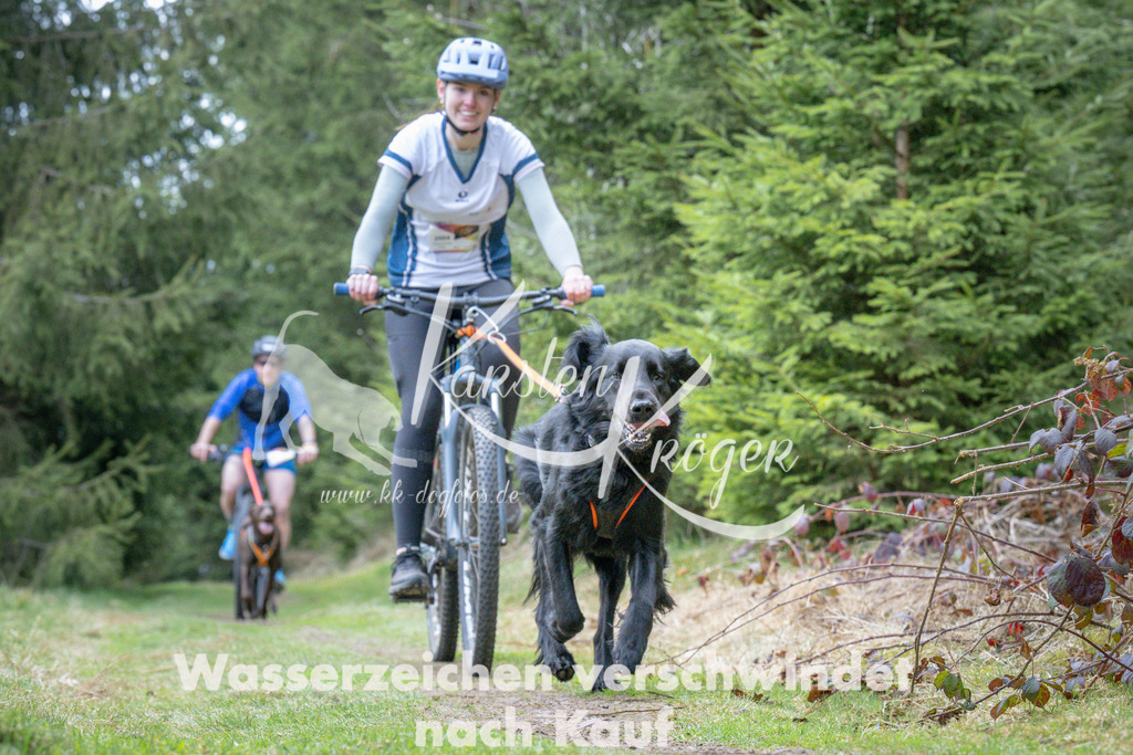 1312_ZZ94003 | kk-dogfotos