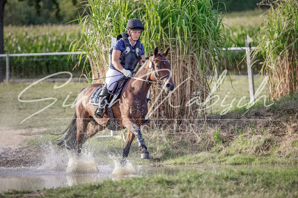 20250906-_3LI7961 | Tierfotografie Pferde, Hunde, Katzen, Haustiere.
Turnierfotografie Reitturniere, Reiten, Springreiten, Dressur in Hanau, dem Main-Kinzig-Kreis und dem Rhein-Main- Gebiet um Frankfurt