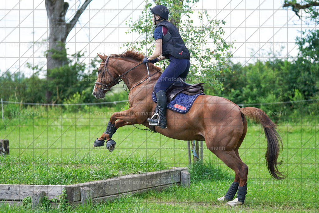 20240622-FAH06990 | Turnierfotografen Bayern, Reitsportbilder aus dem Geländekurs mit Felix Etzel auf dem Gut Waitzacker 2024
