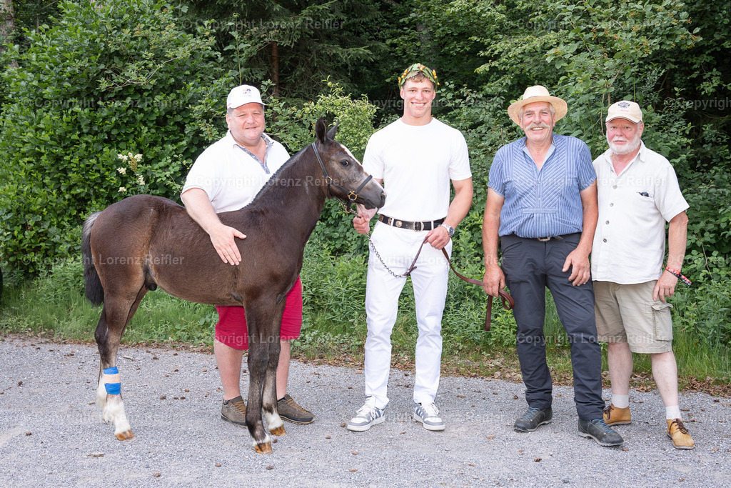 Schwingen -  NOS 2025 | St.Gallen, 29.6.25, Schwingen - NOS.