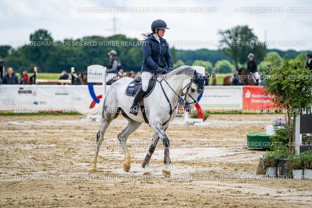 DSC04667 | Pferdegrafie