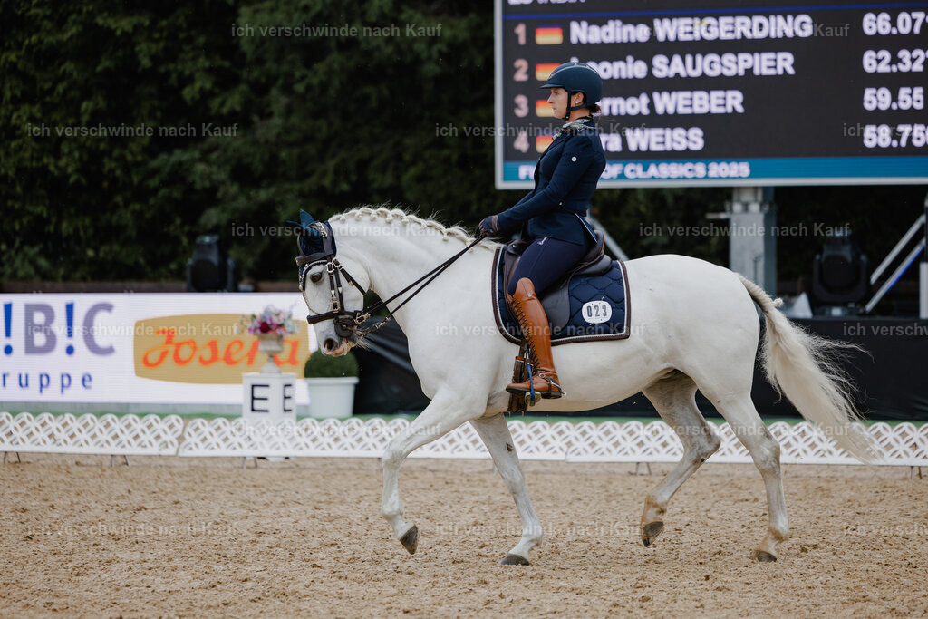 Steffi23_FHC2025-5 | working equitationturnier fotograf videograf stoibphotography marixx film working equitation deutschland reitsport turnierfotografie eventfotografie equestrian events