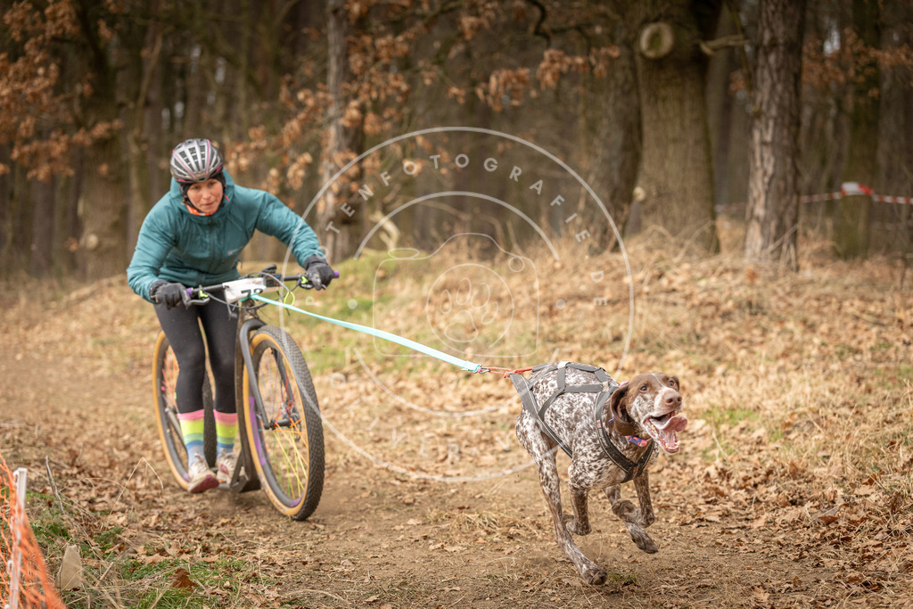 Pfotenfotografie_DV3A3948 | Hundefotografie, Tierfotograf, Pfotenfotografie, Fotoshooting Hund, Hunde Portrait, Hundesport, Hundeportraits, Heideshooting, Hunde, Sportfotograf, Hundefotograf, Turnierhundsport, THS,  - Realisiert mit Pictrs.com