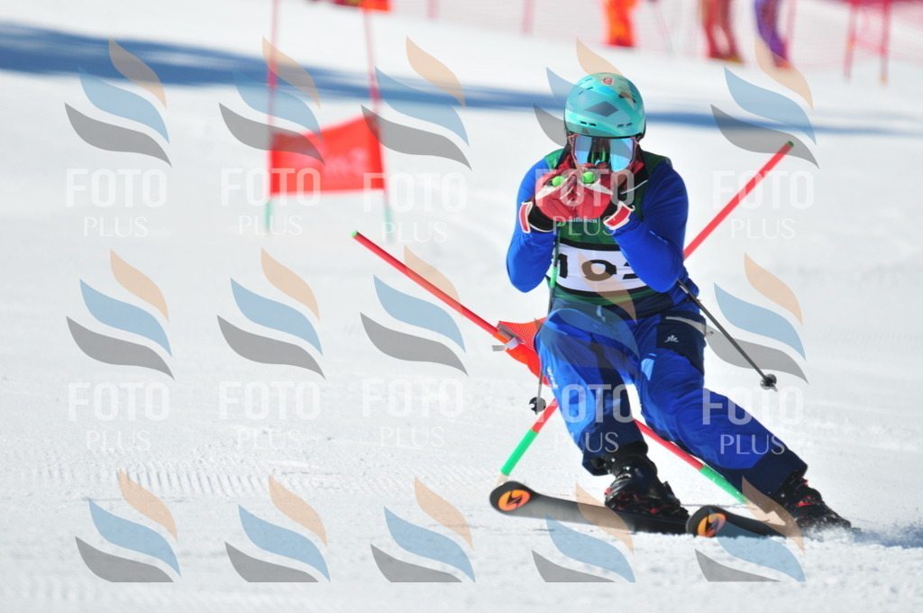 C4392 | holidayphoto