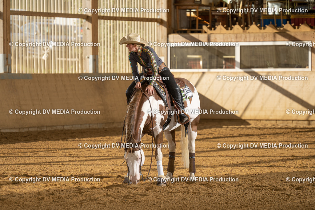 LAU01889 | dv-media-shop - Realisiert mit Pictrs.com