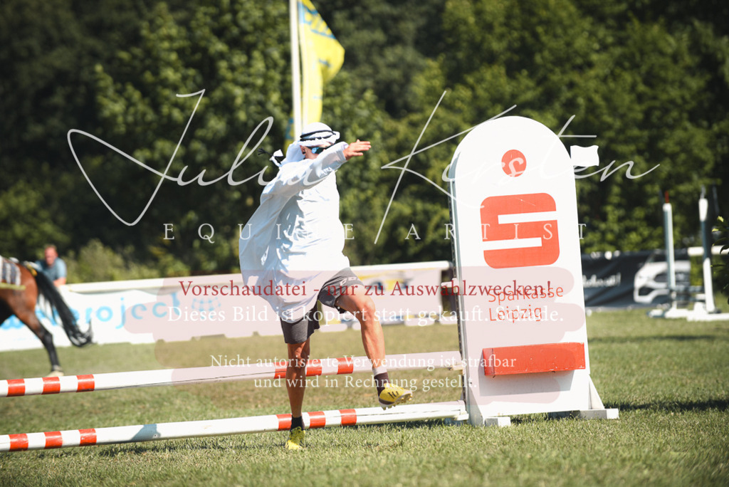 DSC_7595 | Pferde- und Turnierfotografie in Westsachsen. Pferdeportraits, Auftragszeichnungen und intuitive Kunst.