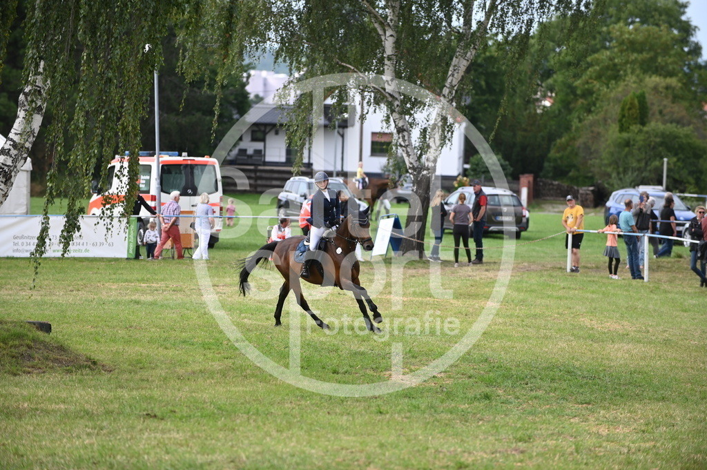 DSC_3416 | sattelsport - Realisiert mit Pictrs.com