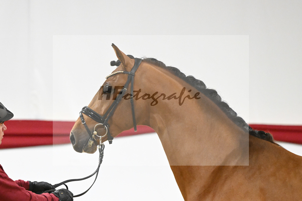 Kat-Nr. 54 v. Vaderland_Rakelbusch_63221555 | hf-fotografie - Realizzato con Pictrs.com