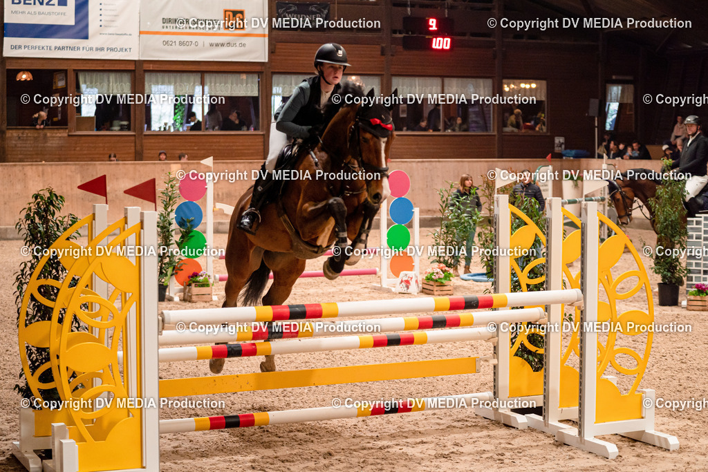 Springen Tag 2-706 | dv-media-shop - Realisiert mit Pictrs.com