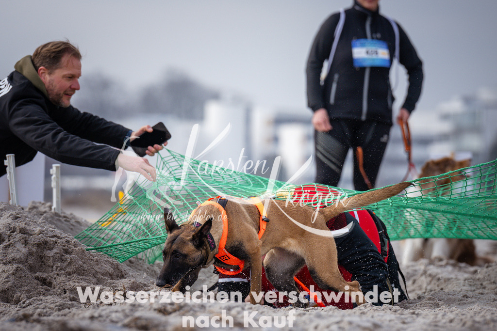 1131_ZZ99185 | kk-dogfotos