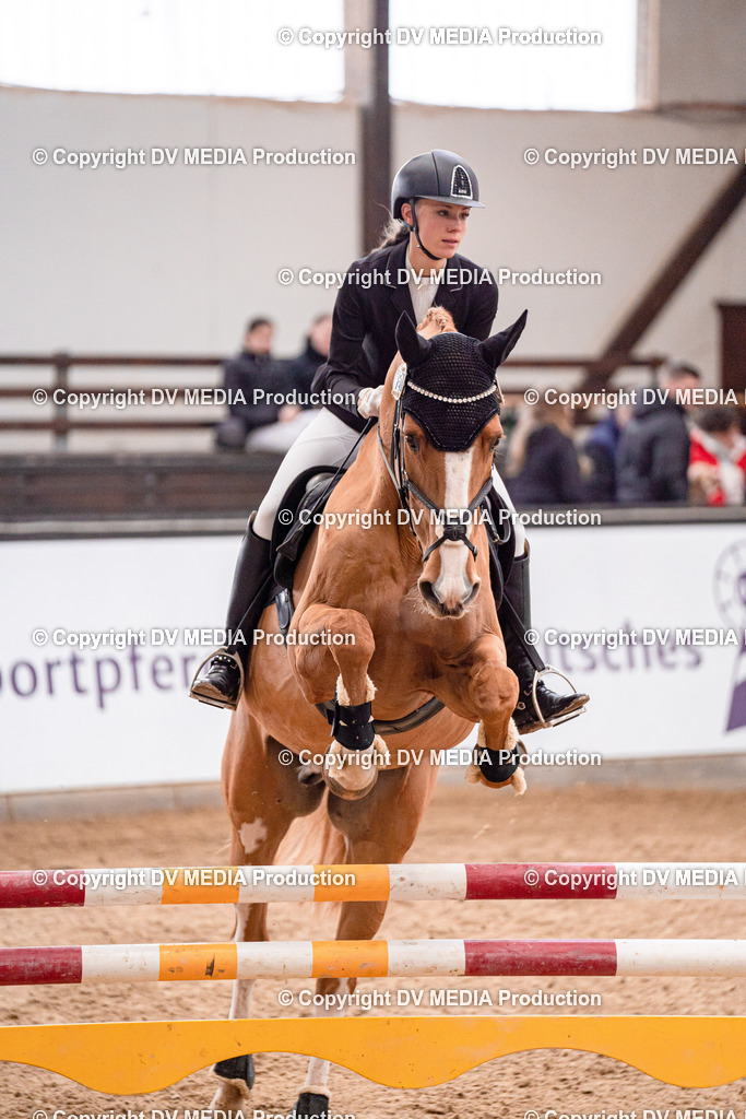 Kranichstein Tag 3-426 | dv-media-shop - Realisiert mit Pictrs.com