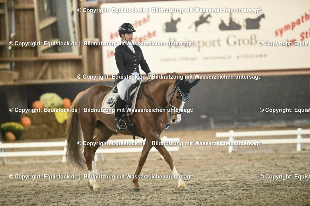 02_Dressurreiter_A_0441 | Foto: Thomas Hartig