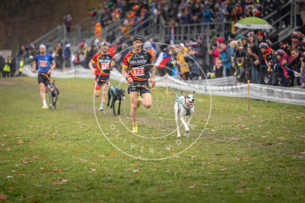 CaniXpix_DV3A9654 | Hundefotografie, Tierfotograf, Pfotenfotografie, Fotoshooting Hund, Hunde Portrait, Hundesport, Hundeportraits, Heideshooting, Hunde, Sportfotograf, Hundefotograf, Turnierhundsport, THS,  - Realisiert mit Pictrs.com