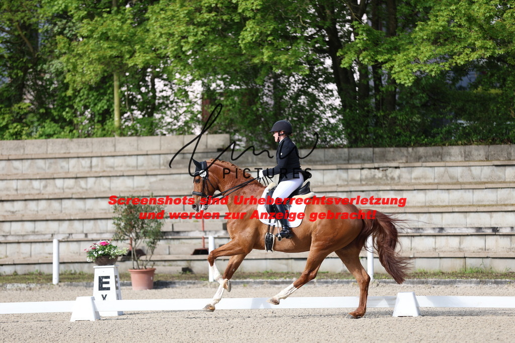 A40A3389 | lmwpictures - Realisiert mit Pictrs.com