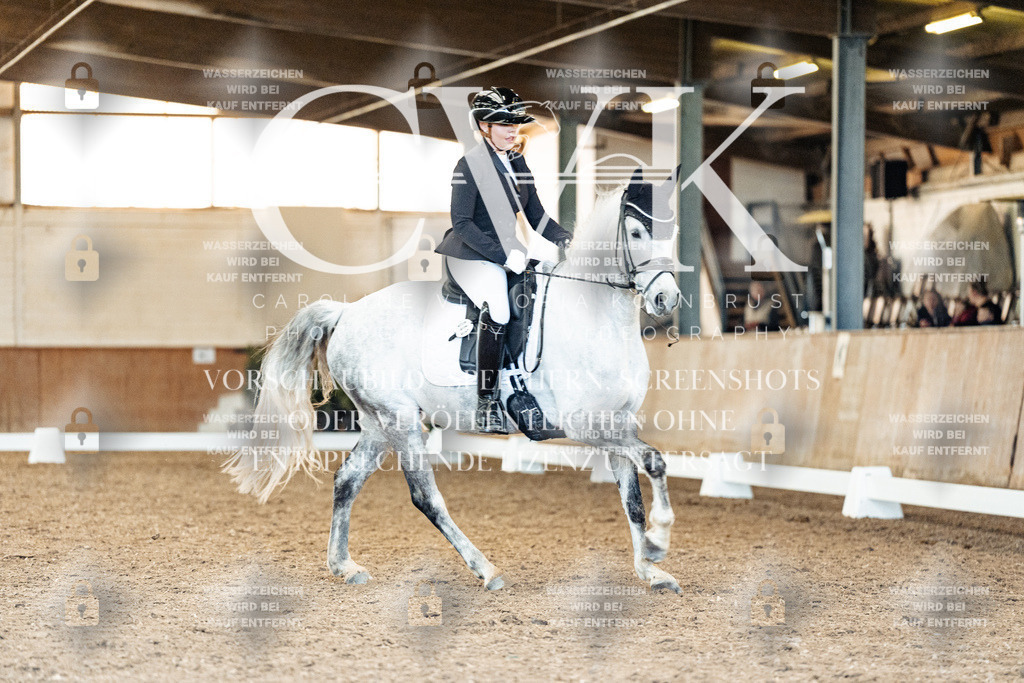 CK909664 | Turnierfotografie Pferdefotografie Trier Rheinland-Pfalz Pferdesport Reitsport Tierfotografie Sportfotografie Pferdevideo Pferdevideografie Equestrianvideography equestrianphotography  - Realisiert mit Pictrs.com